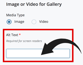 An example of where you write the alt text for an image.